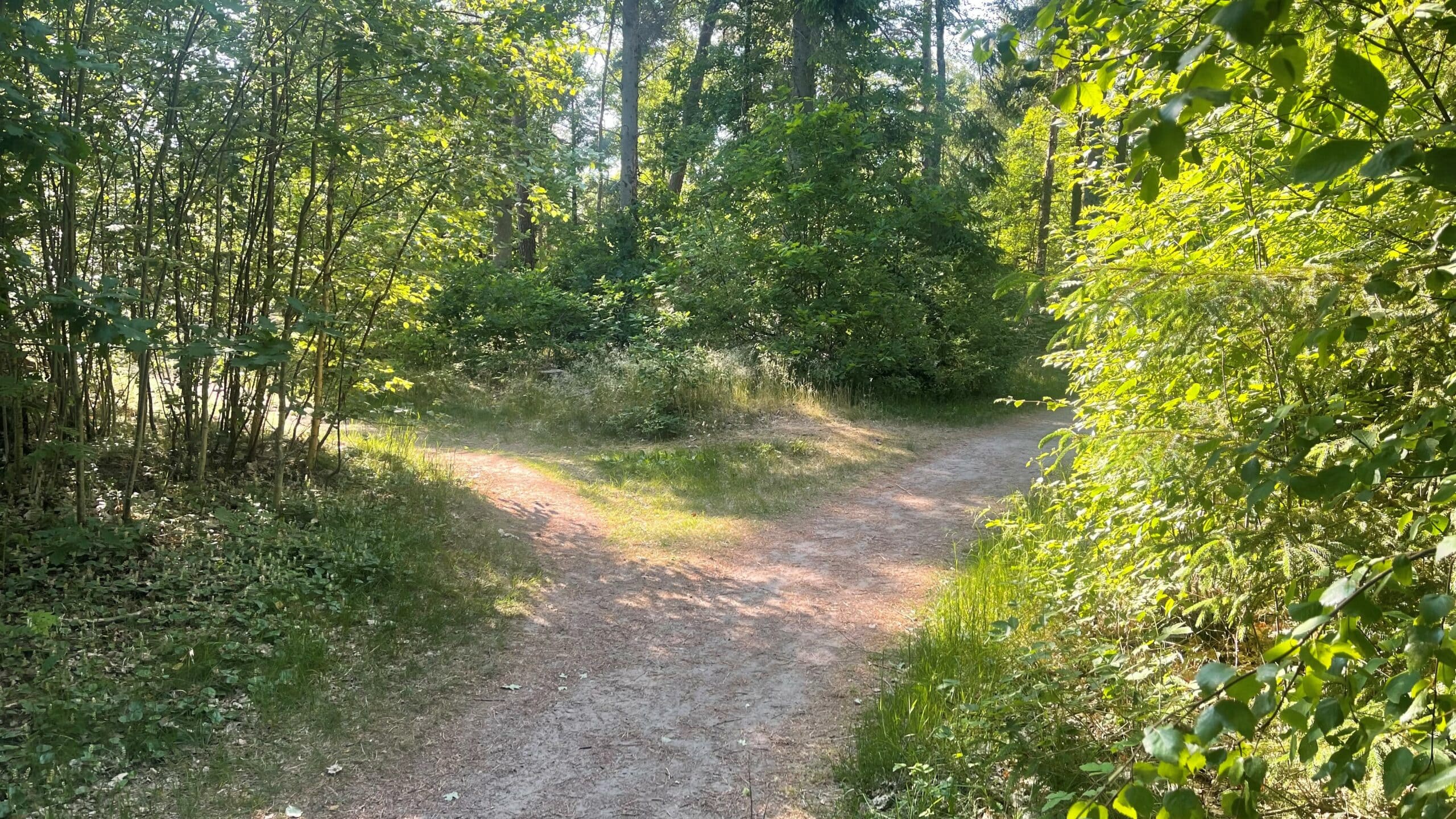 Att välja rätt väg - strategier för lärande