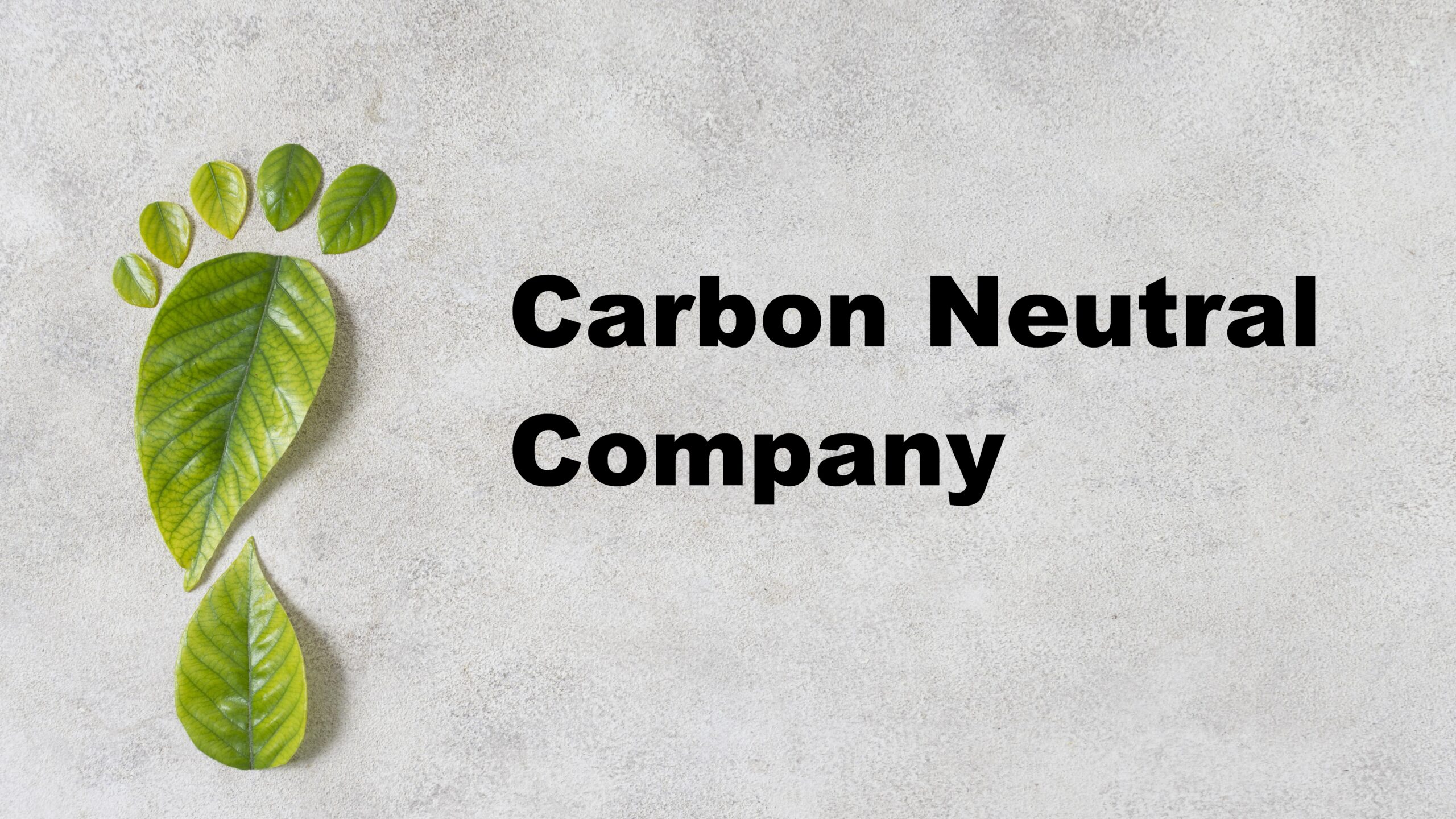 Carbon Neutral Company