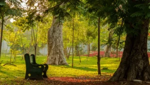 Pndicherry Botaniska trädgården