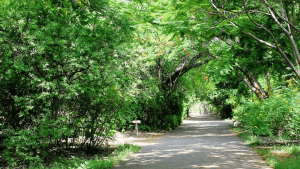 Theosophical Society