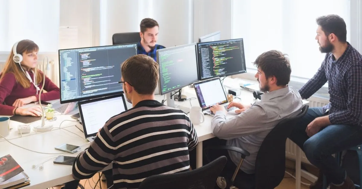 Skräddarsydd utveckling av programvara